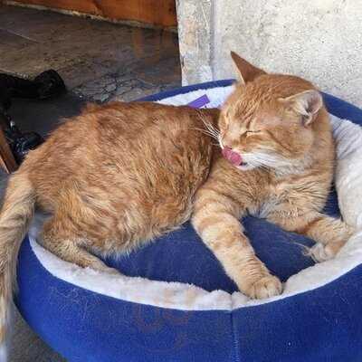 Mundo Novo Coffee & Patisserie