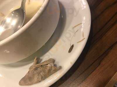 Meshur Balat Iskembe