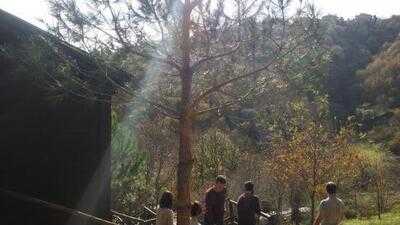 Kulindag Chalet Restaurant