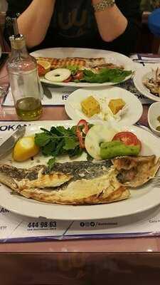 Tuzla Yakamoz Balık