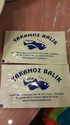 Tuzla Yakamoz Balık