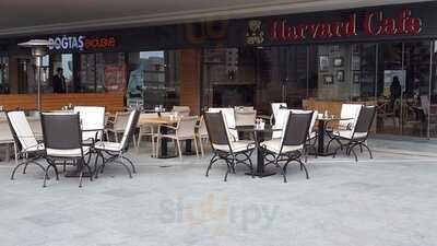 Harvard Cafe