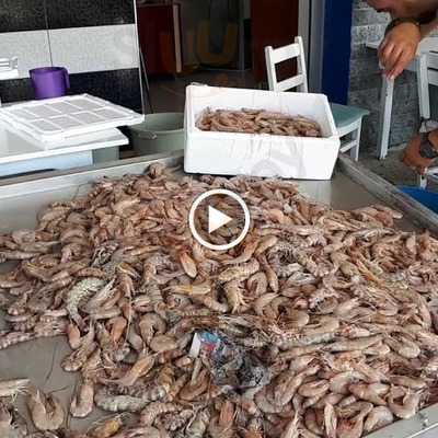 Istakoz Balıkçılık