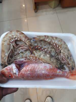 Istakoz Balıkçılık