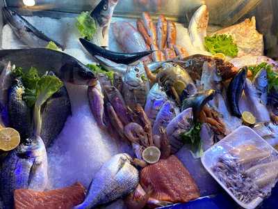 Istakoz Balıkçılık