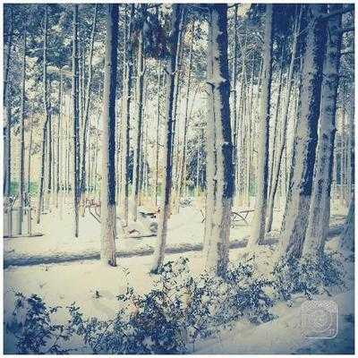 Beylikdüzü Belediyesi Sosyal Tesisleri