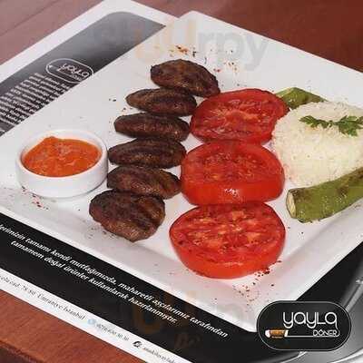 Anadolu Yayla Döner