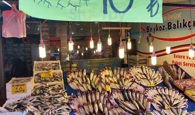 Büyük Beykoz Balıkçısı