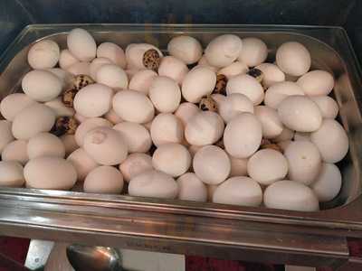 Denizim Park Restaurant