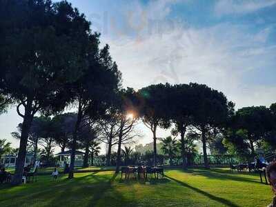 Red & White Beach Restaurant