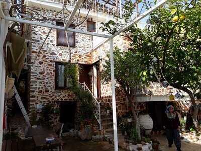 Lemon Tree Restaurant