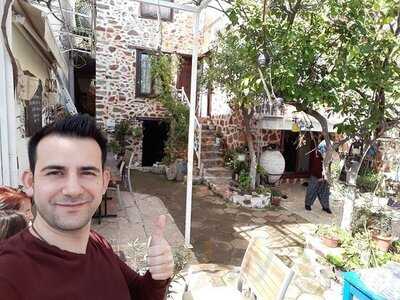 Lemon Tree Restaurant