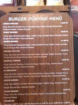 Burger Dunyasi
