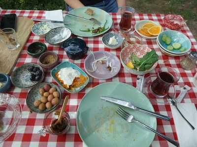 Nezihe Hanım'ın Bahçesi