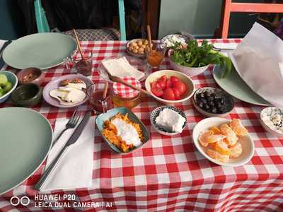 Nezihe Hanım'ın Bahçesi