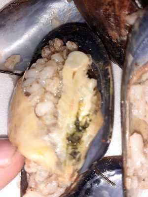 Meşhur Adıyaman Çiğ Köftecisi Ömer Usta