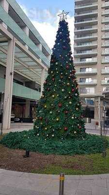 Starbucks Coffee Karanfil