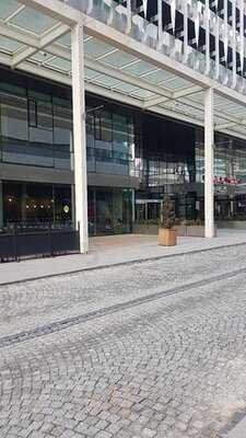 Starbucks Coffee Karanfil