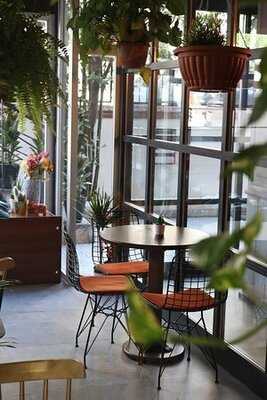 Fiyonk Bakery & Cafe