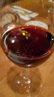 Modi Borek & Ev Yemekleri