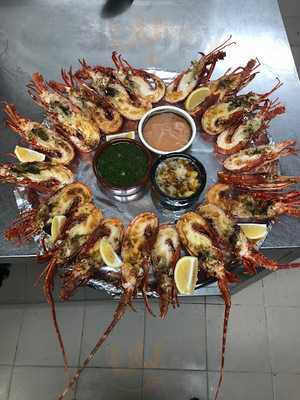 Galata Marmara Balik