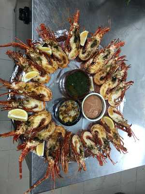 Galata Marmara Balik