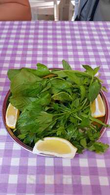 Yesilirmak Iskembe Salonu