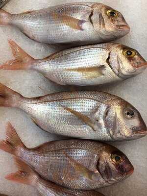 Balikçı Yusuf'un Yeri Mezze