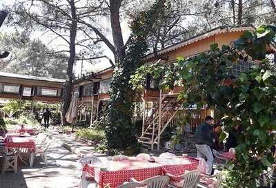 Gozlemeci Kasap Mustafa