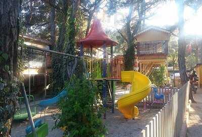 Gozlemeci Kasap Mustafa