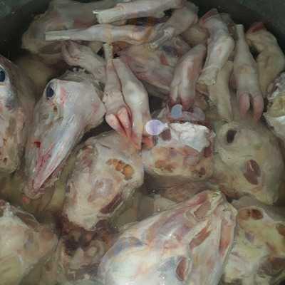 Kahramanmaraşlı Kamil Usta