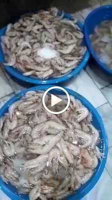 Doğan Balık Restaurant