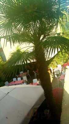 Sanatevi Bahçe Cafe