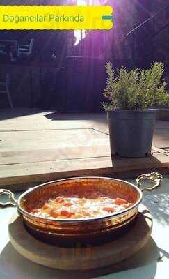 Sanatevi Bahçe Cafe