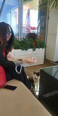 Douwe Egberts Cafee Pendik Marina