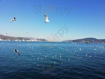 Meshur Kirecburnu Firini