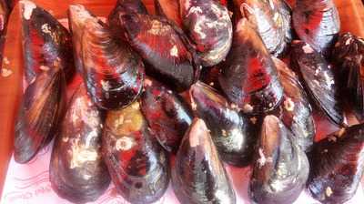 Doy Doy Kokoreç Ve Dürüm Evi