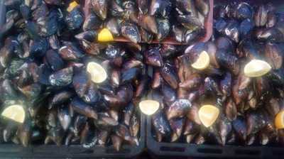 Doy Doy Kokoreç Ve Dürüm Evi