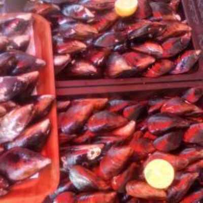 Doy Doy Kokoreç Ve Dürüm Evi