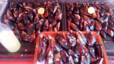 Doy Doy Kokoreç Ve Dürüm Evi