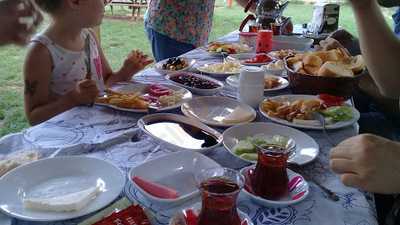 Şelale Park Piknik Alanı