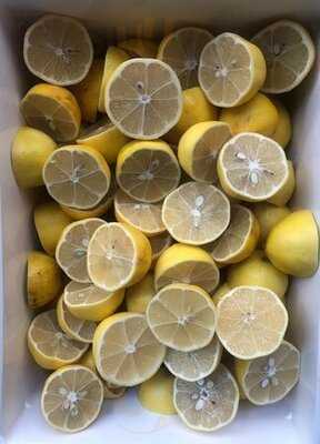 Fatos'un Mutfagi Moda