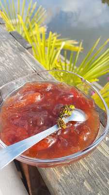 Riva Cicek Restaurant