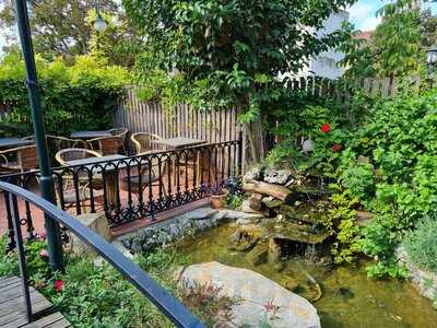 Olive Garden Turkish Kitchen