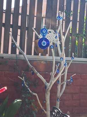 Olive Garden Cafe & Restaurant