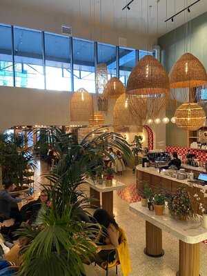 Bosco Caffè E Tiramisù