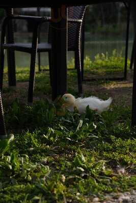 Gölbaşı Restaurant & Bistro