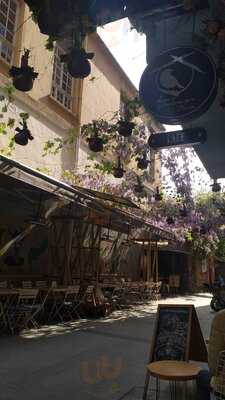 Kuş Yuvası Pera Cafe