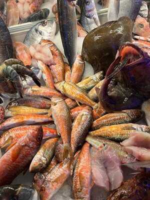 Bostanlı Balık Bakırköy Sahil