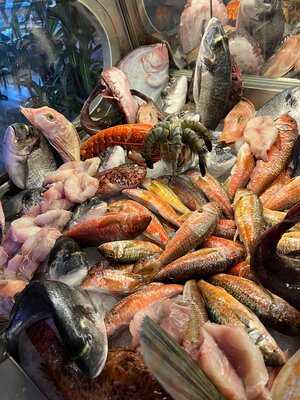 Bostanlı Balık Bakırköy Sahil